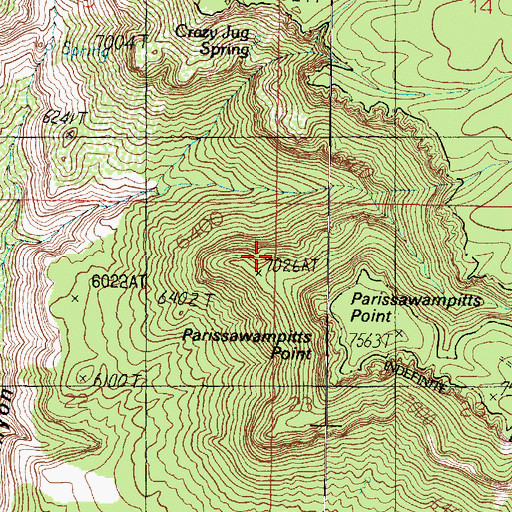 Topographic Map of Parissawampitts Point, AZ