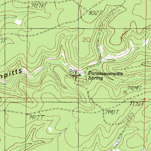Topographic Map of Parissawampitts Spring, AZ