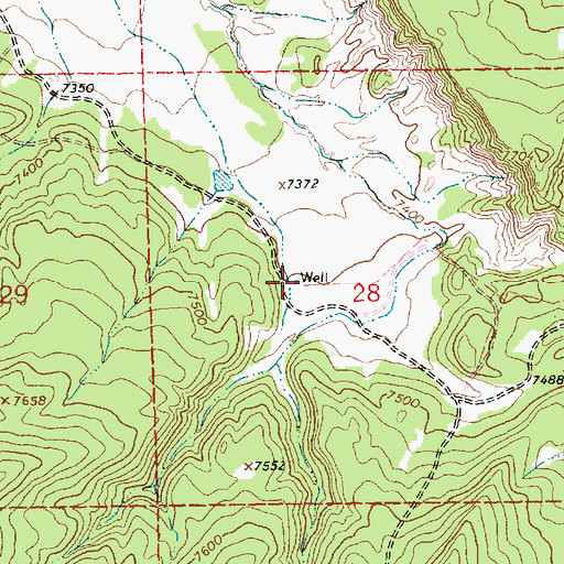 Topographic Map of 10005 Water Well, NM