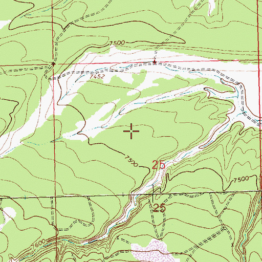 Topographic Map of Ruby 3-4 Water Well, NM