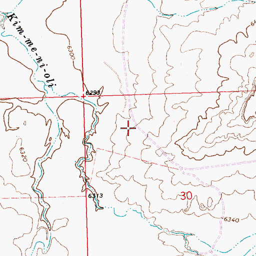 Topographic Map of SJ-109-S-8 Water Well, NM