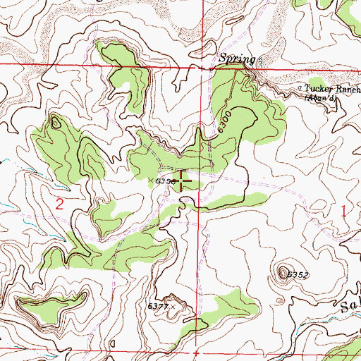 Topographic Map of 10009 Water Well, NM