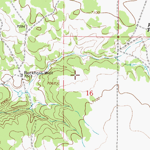 Topographic Map of Buckhorn W Water Well, NM