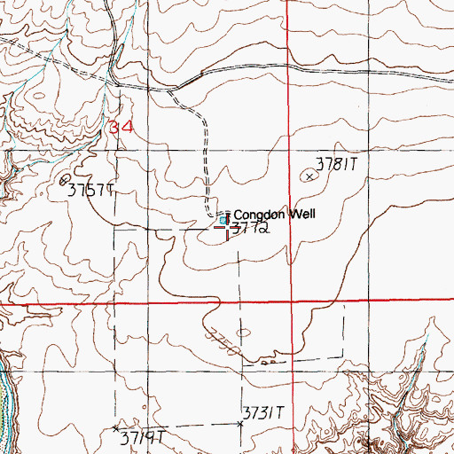 Topographic Map of Congdon Well, NM