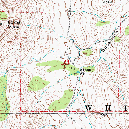 Topographic Map of Walson Well, NM