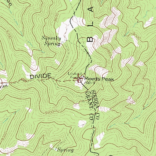 Topographic Map of Reeds Peak Lookout Tower, NM