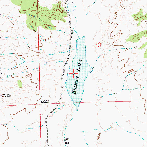 Topographic Map of Blaines Lake, NM
