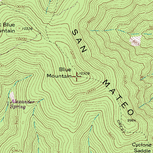 Topographic Map of Blue Mountain, NM