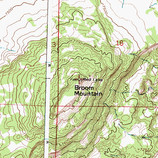 Topographic Map of Broom Mountain, NM