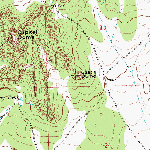 Topographic Map of Castle Dome, NM