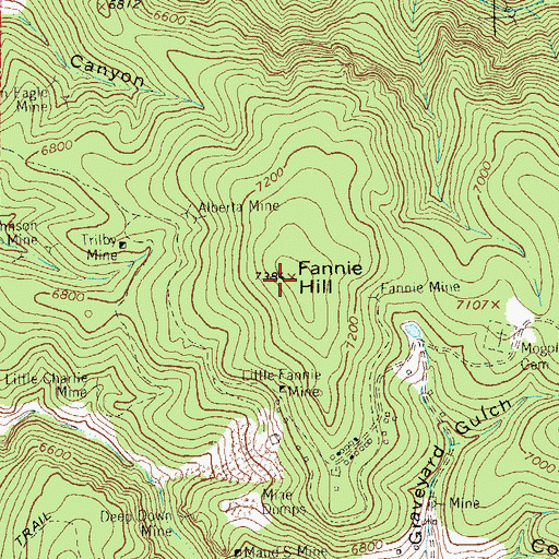Topographic Map of Fannie Hill, NM