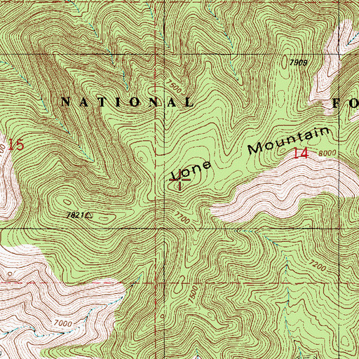 Topographic Map of Lone Mountain, NM