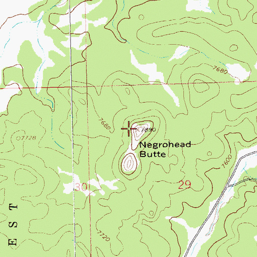 Topographic Map of Negrohead Butte, NM