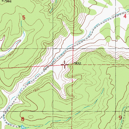 Topographic Map of Paddys Hole, NM