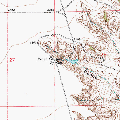 Topographic Map of Peach Canyon Spring, NM
