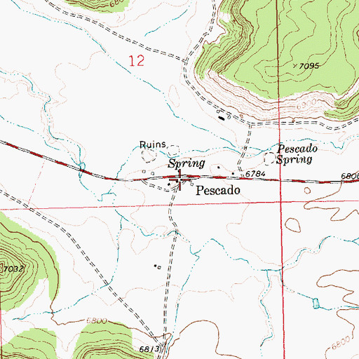 Topographic Map of Pescado, NM
