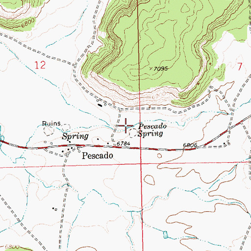 Topographic Map of Pescado Spring, NM