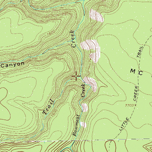 Topographic Map of Rawmeat Creek, NM