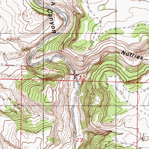 Topographic Map of Rio Nutrias, NM