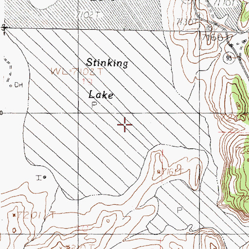 Topographic Map of Stinking Lake, NM