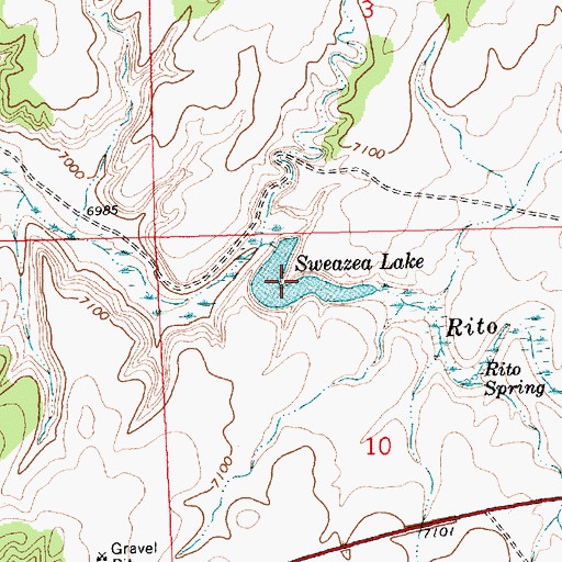 Topographic Map of Sweazea Lake, NM