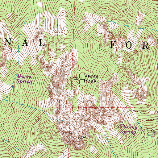 Topographic Map of Vicks Peak, NM