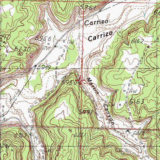 Topographic Map of Martin Canyon, NM