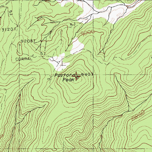 Topographic Map of Pastora Peak, AZ