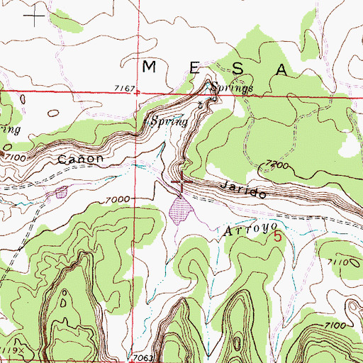 Topographic Map of Encino Detention Dam Number 46, NM