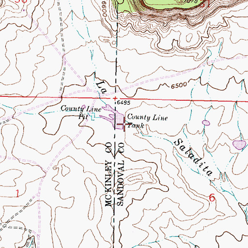 Topographic Map of County Line Dam, NM
