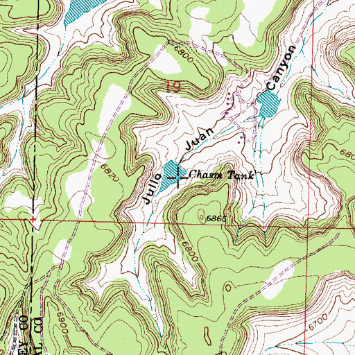 Topographic Map of Chasm Dam, NM