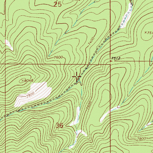 Topographic Map of Pine Tree Canyon Damsite Number 2 Dam, NM