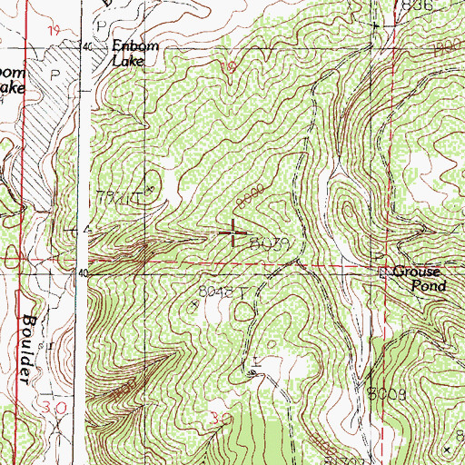 Topographic Map of Enbom Lake Dam, NM