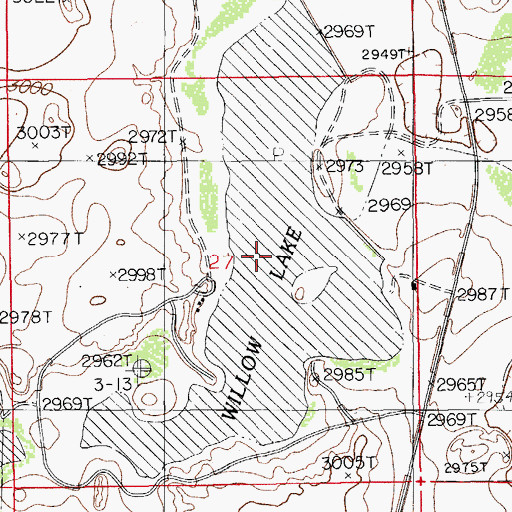 Topographic Map of Willow Lake, NM