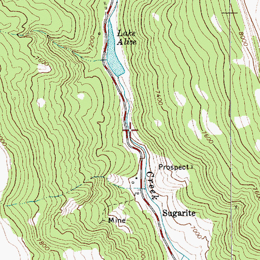 Topographic Map of Lake Alice Dam, NM