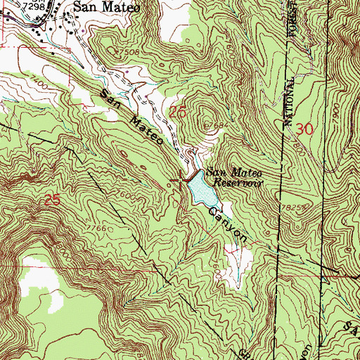 Topographic Map of San Mateo Lake Dam, NM