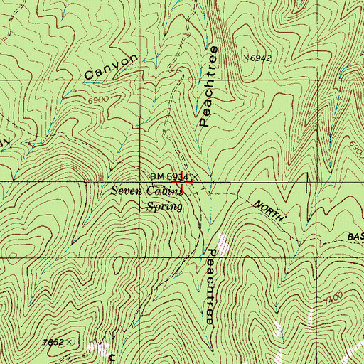 Topographic Map of Seven Cabin Springs, NM
