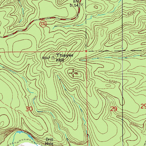Topographic Map of The Pinnacle, NM