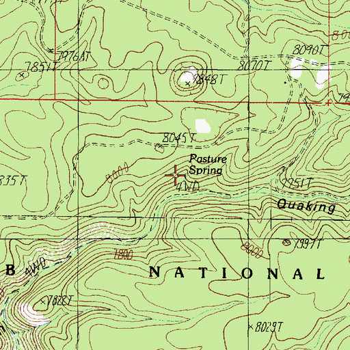 Topographic Map of Pasture Spring, AZ