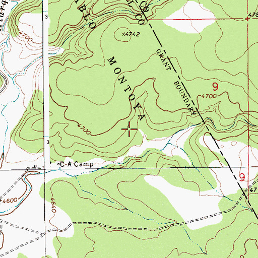 Topographic Map of Wagoneer, NM