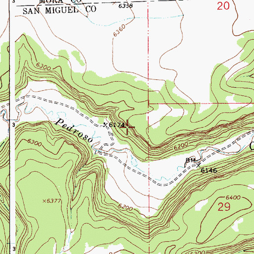 Topographic Map of Allen, NM