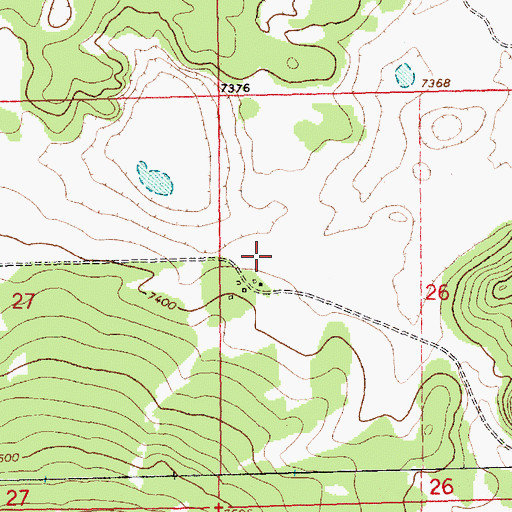 Topographic Map of Woodart, NM
