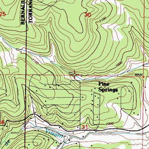 Topographic Map of Manzano Springs, NM