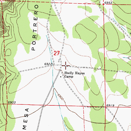 Topographic Map of Shelly, NM