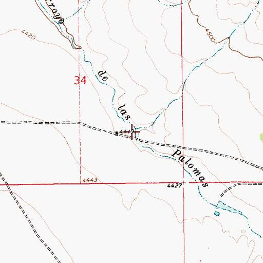 Topographic Map of Kinkeed, NM