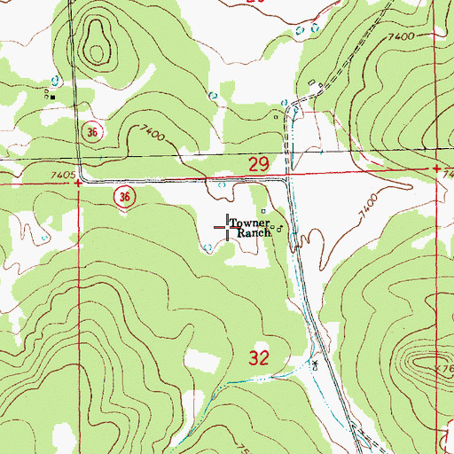 Topographic Map of Towners, NM