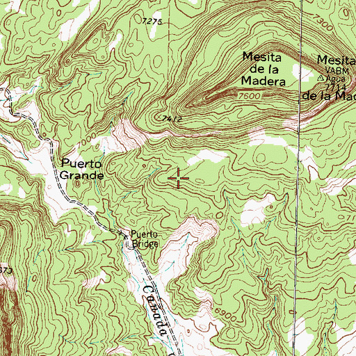 Topographic Map of Puerto Grande, NM