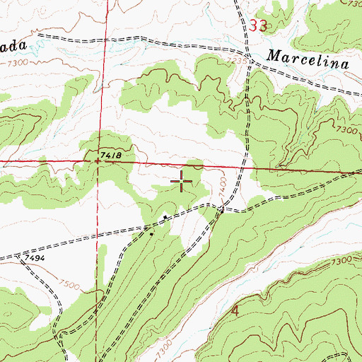 Topographic Map of Hall, NM