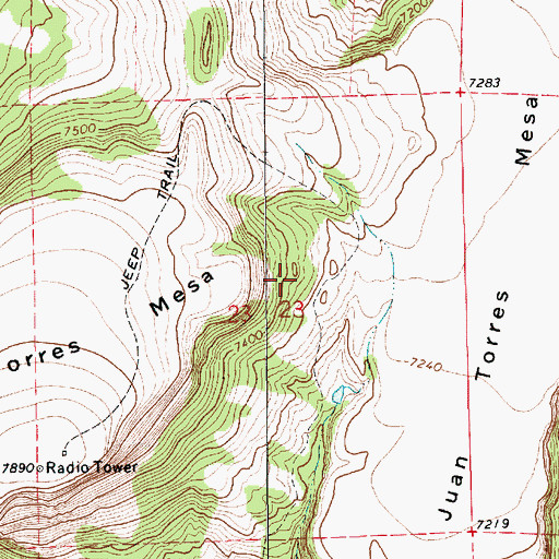 Topographic Map of Meloche Mesa, NM
