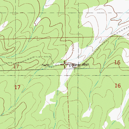 Topographic Map of Miner Water Well, NM